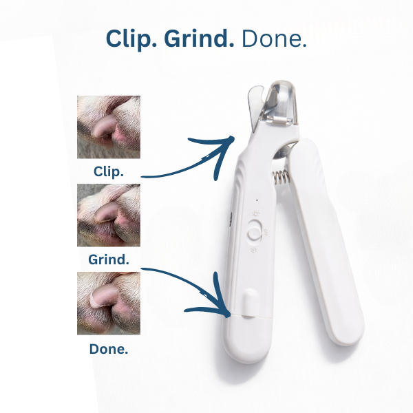 TenderPaws™ 2-in-1 Illuminated Nail Trimmer