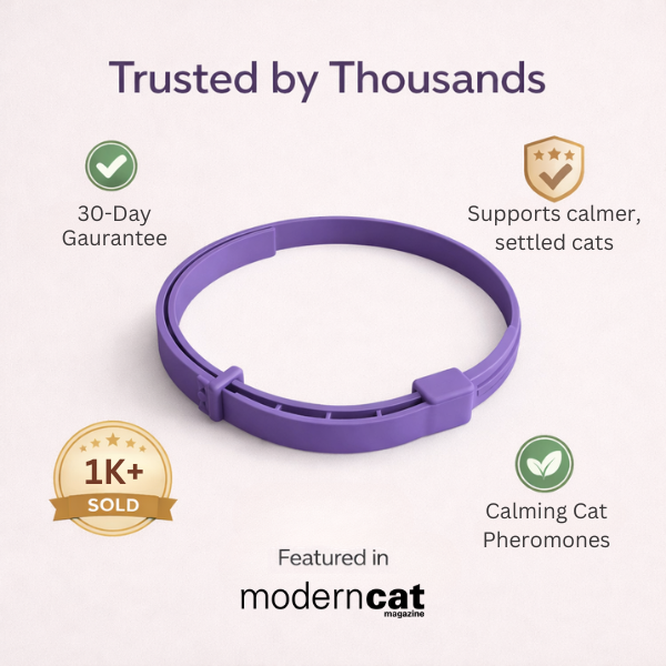 PurrCalm Cat Calming Collar