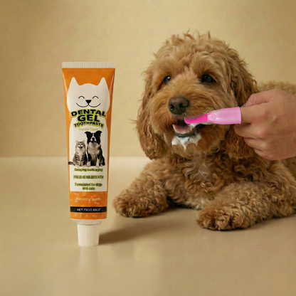Our Complete Pet Grooming Bundle