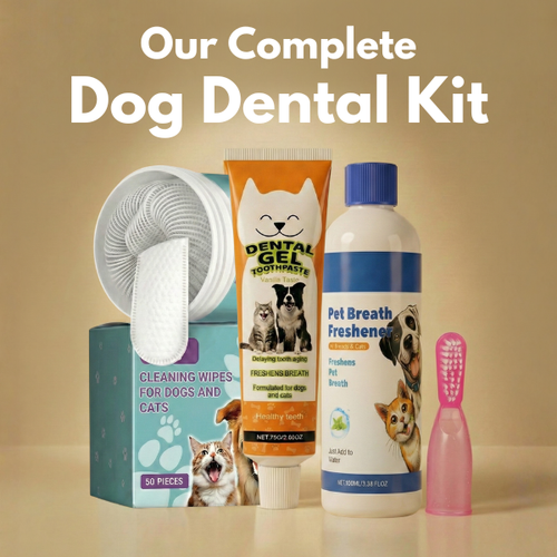 Our Complete Dog Dental Kit