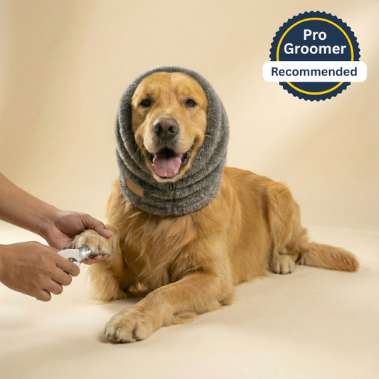Nail-Trim Calming Pet Ear Wrap